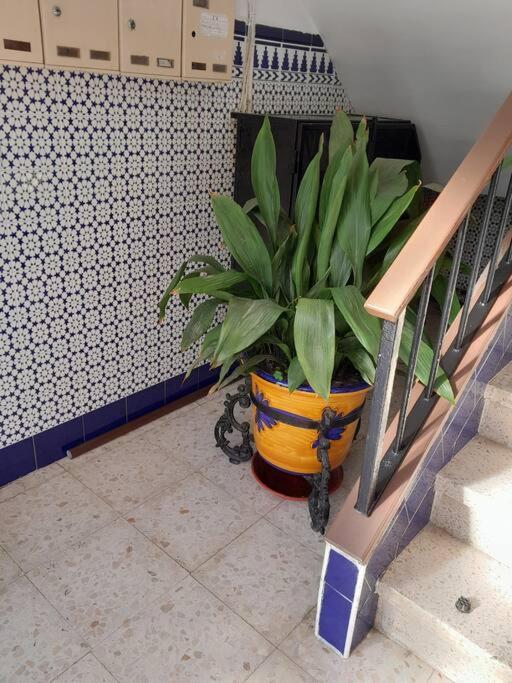Ferienwohnung Disfruta De Un Barrio Tranquilo Alcalá de Guadaira Exterior foto